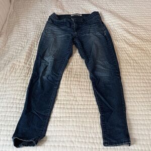J Brand Indigo Denim Jeans skinny